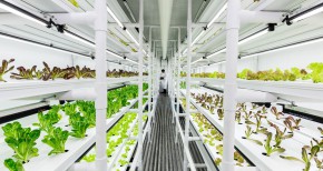 морски контейнер в земеделието