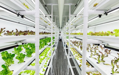 морски контейнер в земеделието